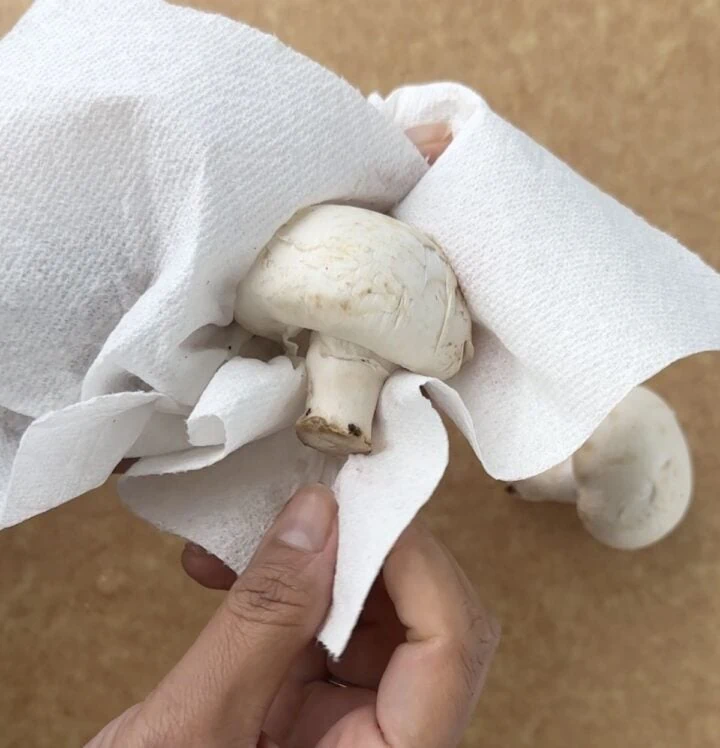 drying mushroom with a kitchen paper towel 