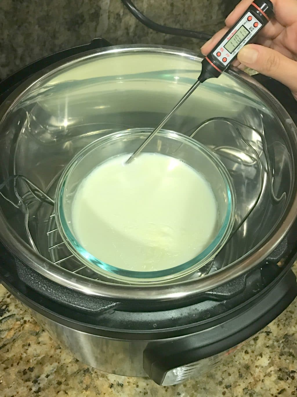 Homemade Instant Pot Yogurt - Pot in Pot method - Paint The Kitchen Red