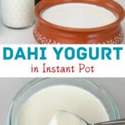 dahi yogurt made in instant pot