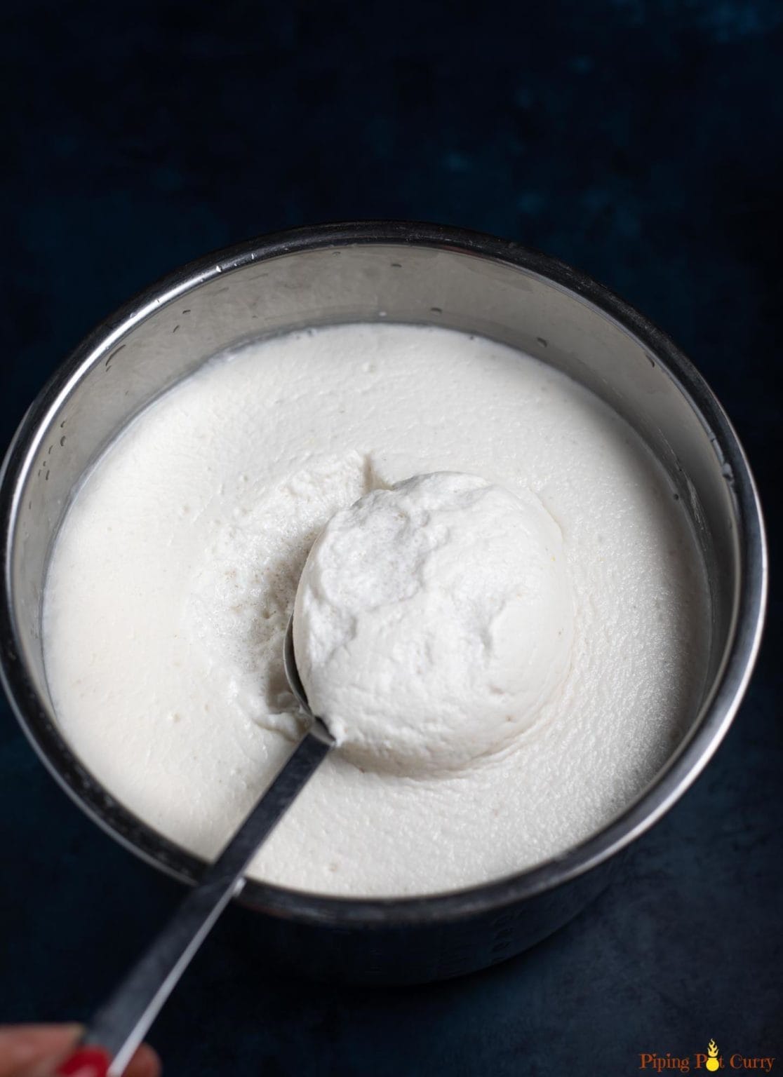 Steamed Idli (Savory Rice Cakes) Instant Pot Piping Pot Curry