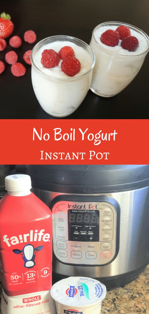 No boil / Cold Ingredients Yogurt (Dahi) Instant Pot Piping Pot Curry
