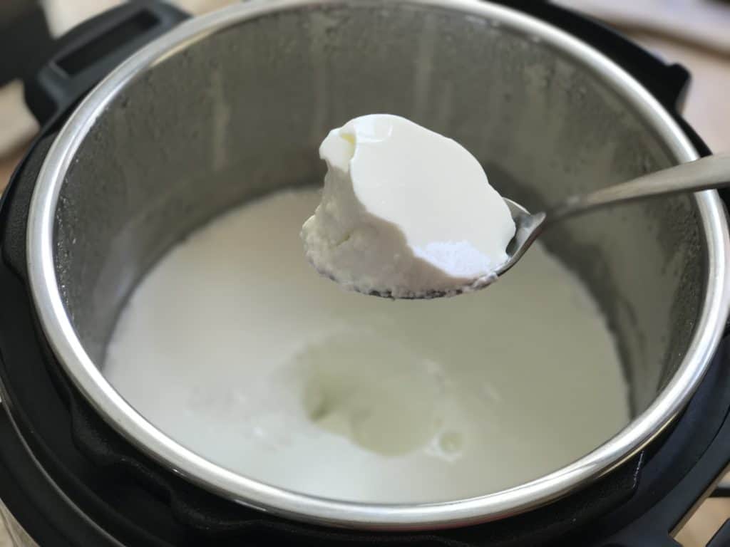 No boil Cold Ingredients Yogurt Dahi Instant Pot Piping