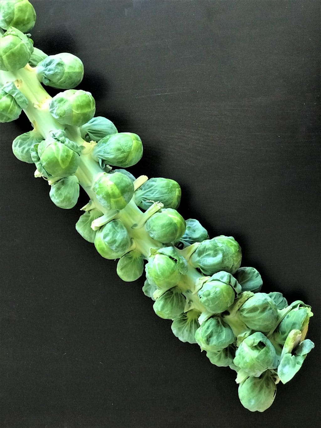 Brussels Sprouts on the stalk air fryer