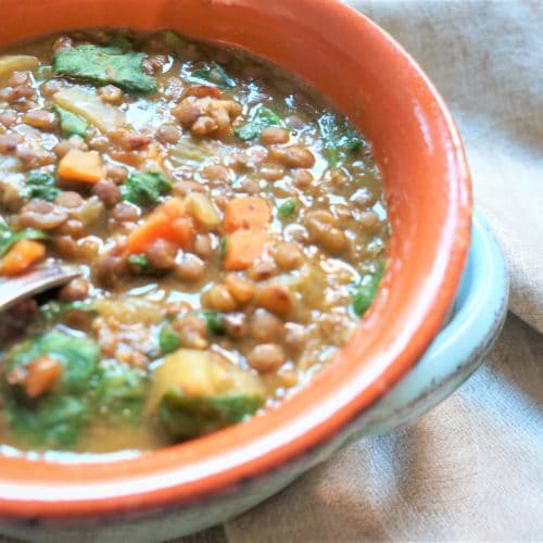 Lentil Soup Instant Pot Pressure Cooker 1