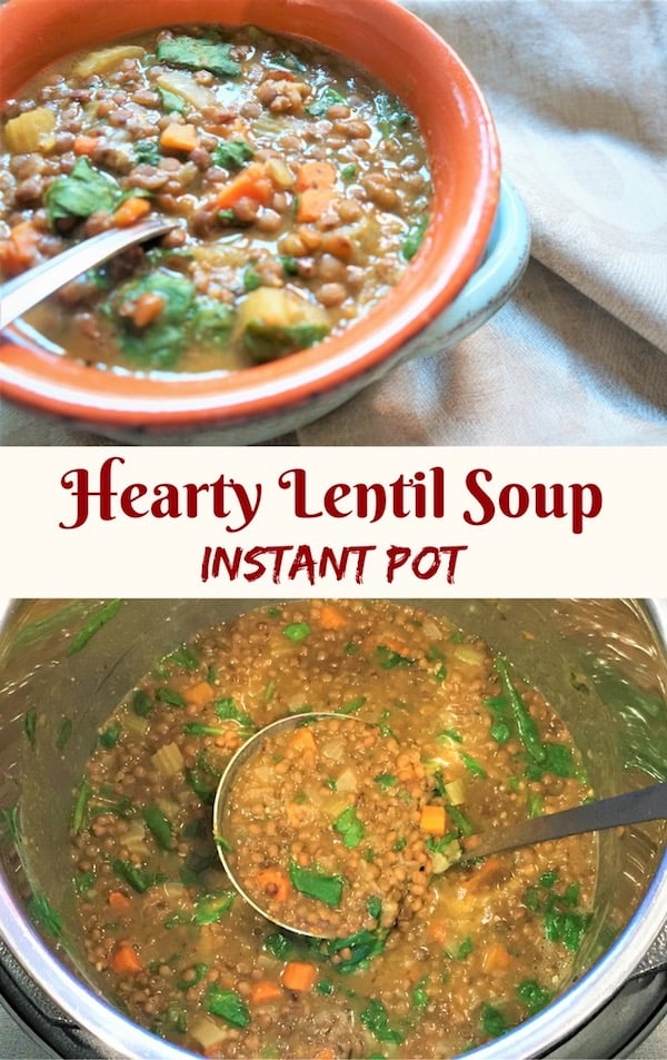 Hearty Brown Lentil Soup Instant Pot Pressure Cooker Piping Pot Curry