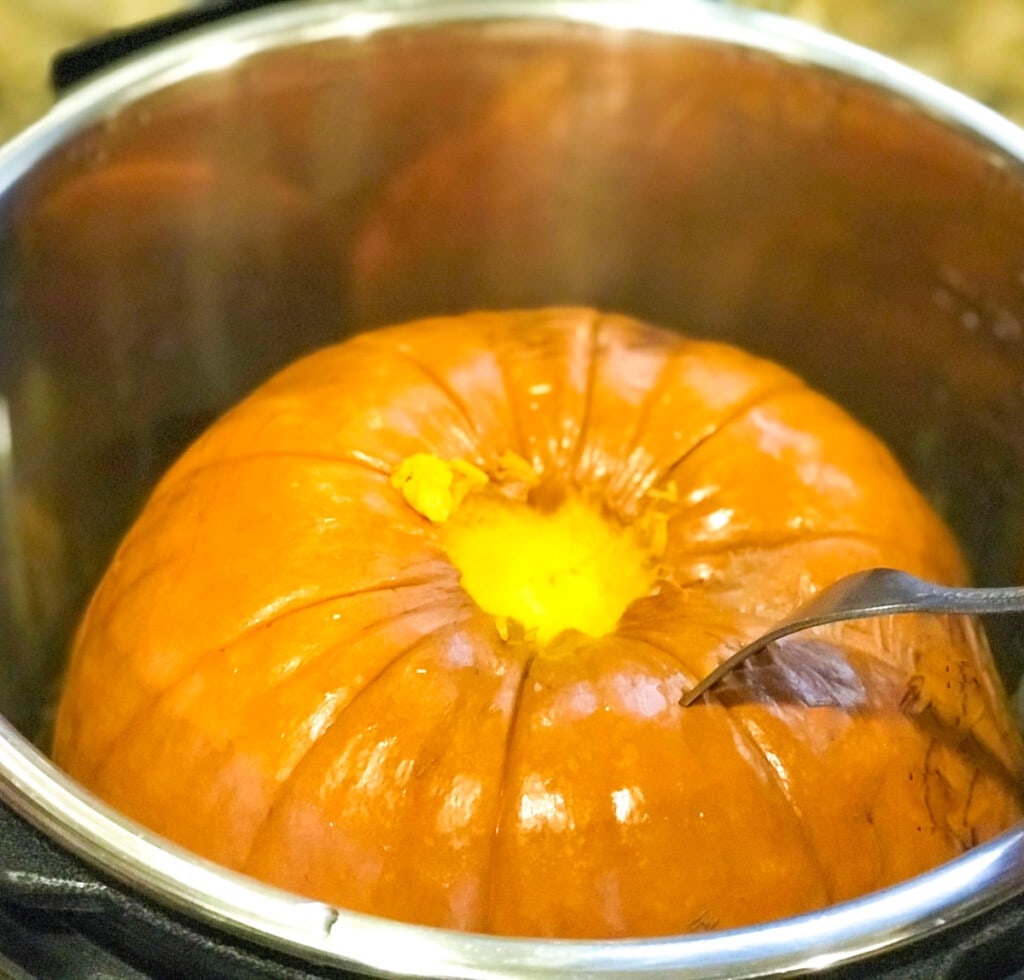 Cooked whole pumpkin for puree in the instant pot