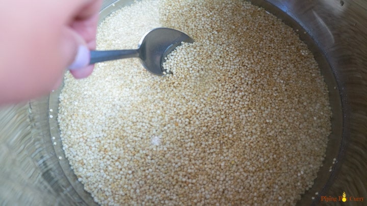 Instant Pot Quinoa in main pot