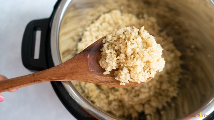 quinoa in a ladle on top of instant pot 