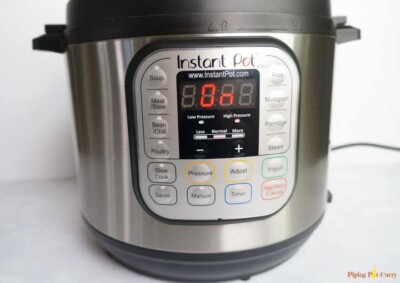 Instant Pot Water Test - Piping Pot Curry