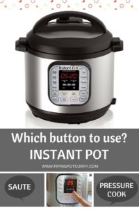 Which Instant Pot Buttons to Use? - Piping Pot Curry