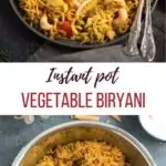 Vegetable Biryani Rice garnished with mint leaves and in the pot