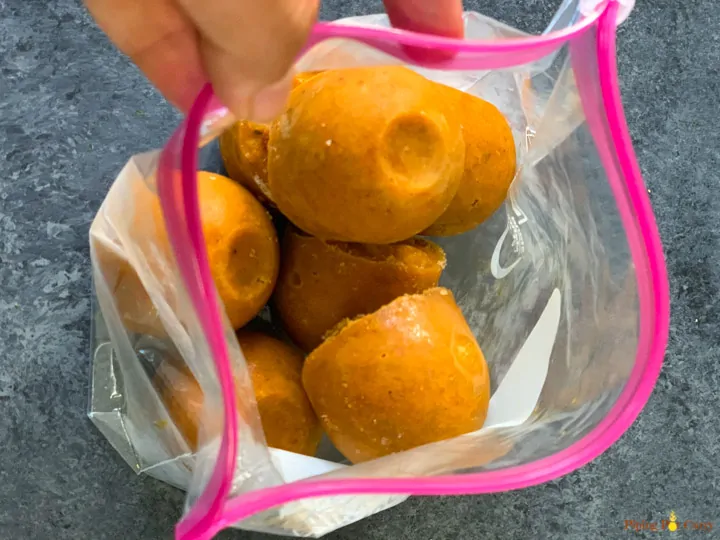 Freezed onion tomato masala curry sauce in a ziploc bag