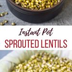 Instant Pot Sprouted lentils in a bowl