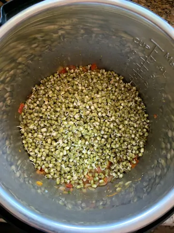 Sprouted green mung beans in the instant pot