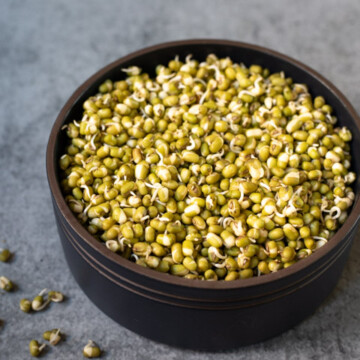 Sprouted mung bean lentils in a black bowl