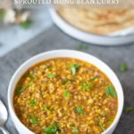 Vegan & Gluten Free Moong Bean Sprouts Curry