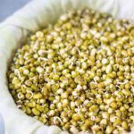 Sprouted lentils in a white cheese cloth