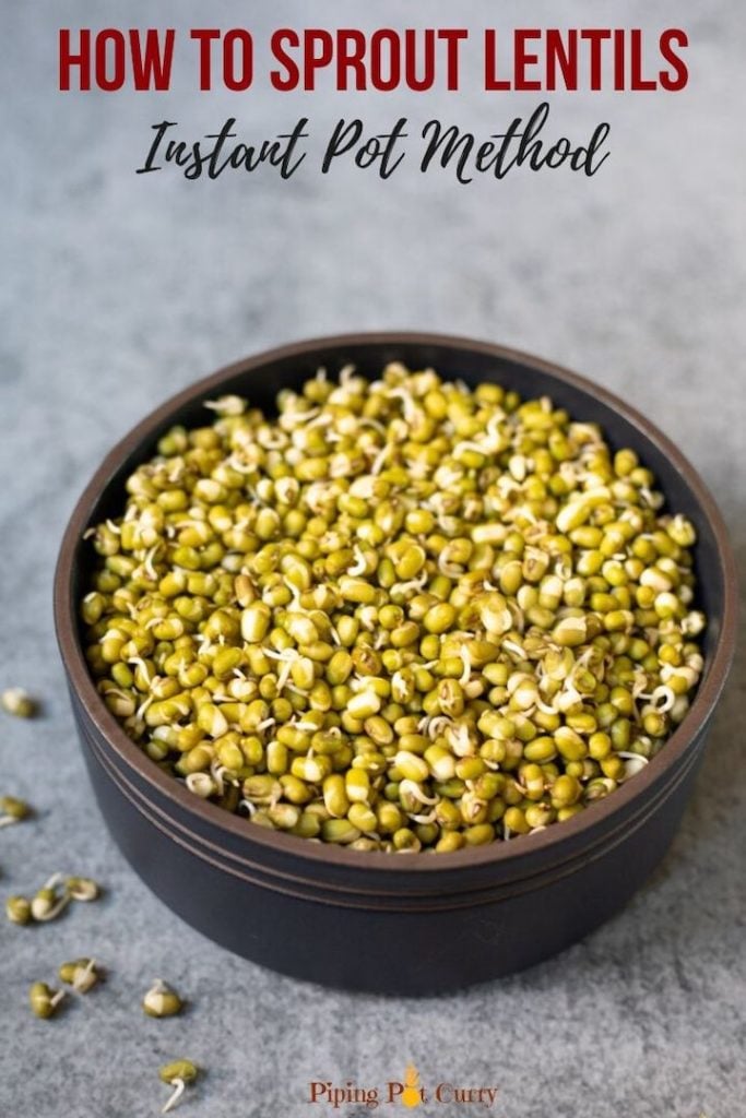 Sprouted green lentils in a black bowl