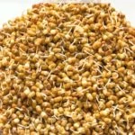 How to sprout moth bean lentils in the instant pot