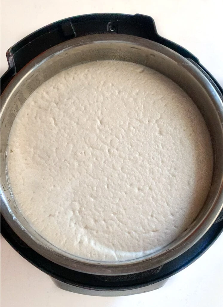 Perfectly fermented idli batter in the instant pot