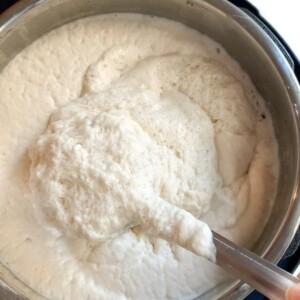 Idli Dosa Batter fermented in the instant pot