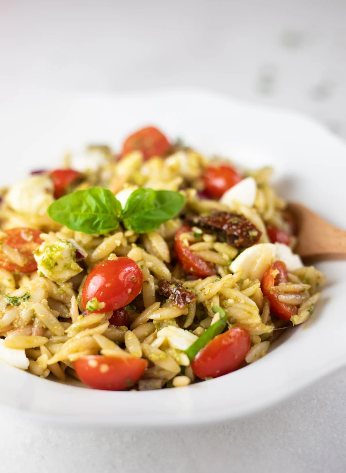 Closeup of pasta salad with orzo, cherry tomatoes, mozzarella and basil leaves 