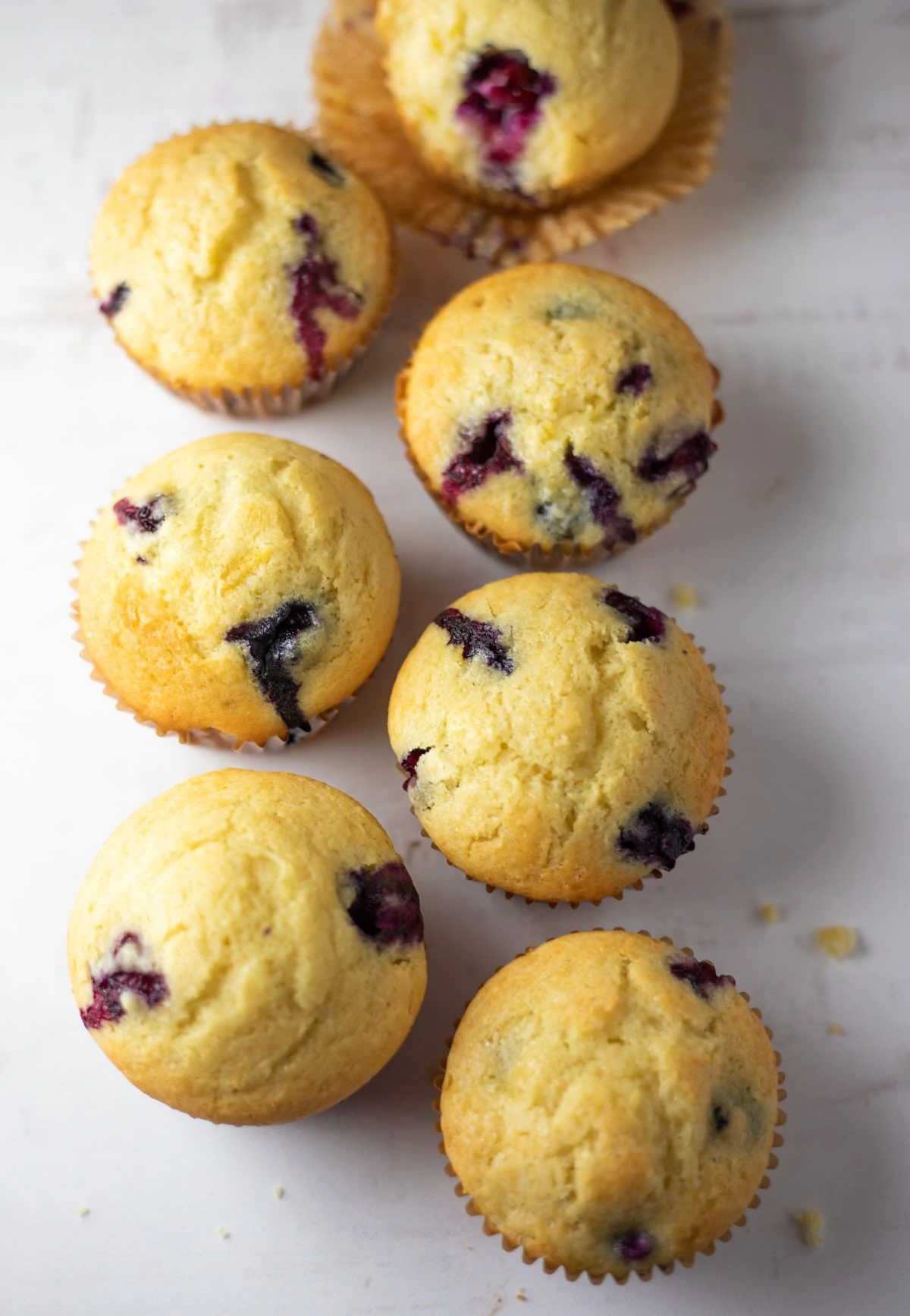 blueberry muffins on a white base