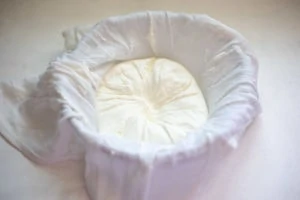 Hung curd in a cheesecloth after all water is removed