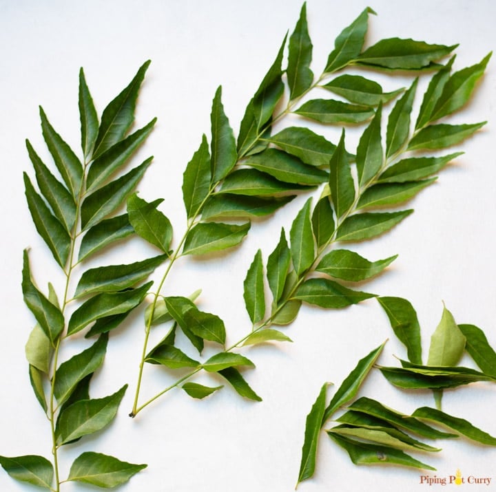 Curry leaves with stem 