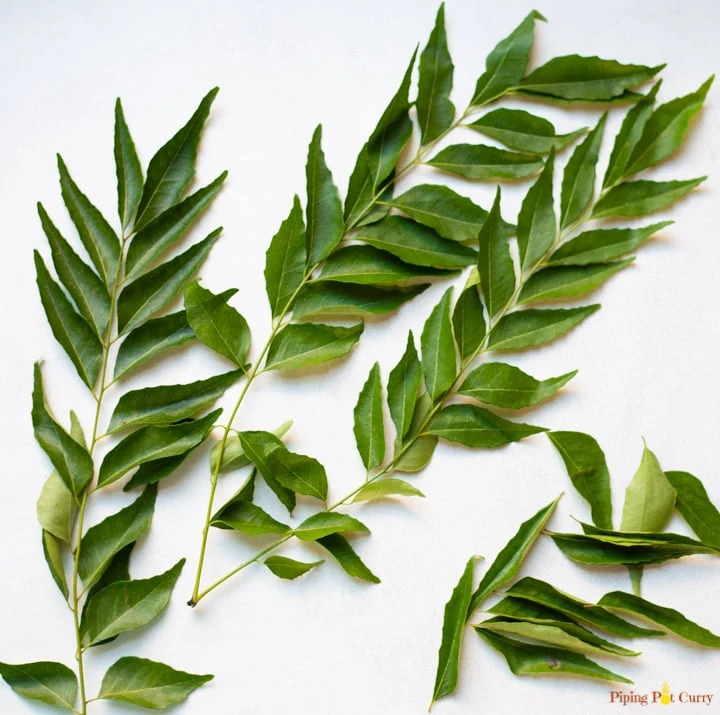 Curry leaves with stem