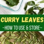 How to use and store curry leaves