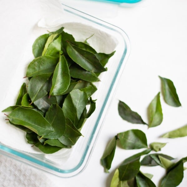 Curry leaves in a towel paper being stored in a pyrex box