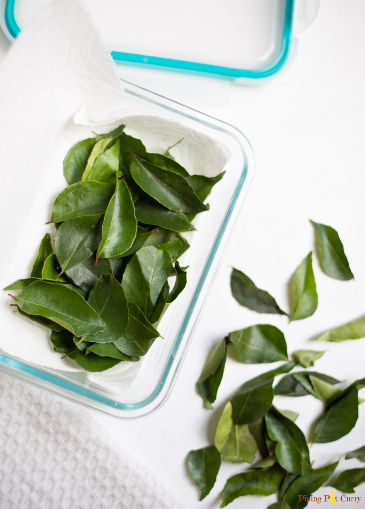 Aromatic Curry Leaves - How to Buy, Use & Store? - Piping Pot Curry