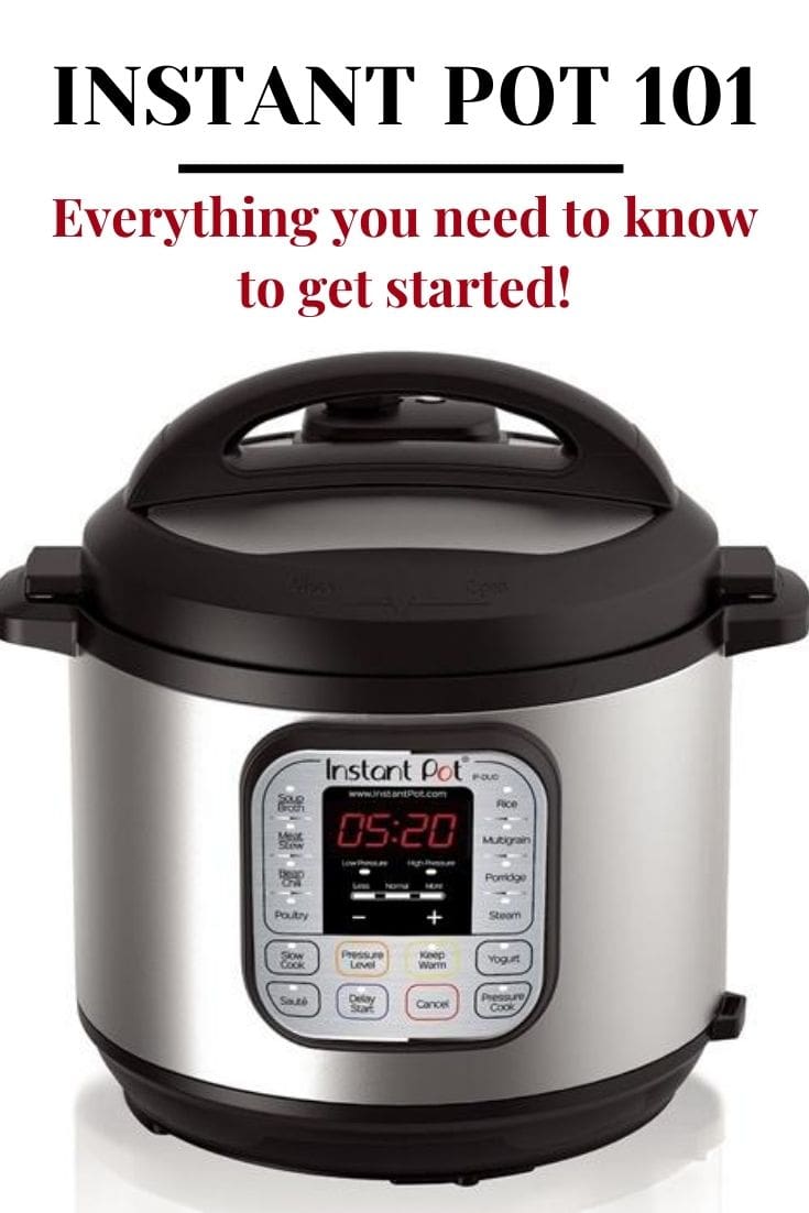 The Complete Instant Pot 101 Guide - Piping Pot Curry