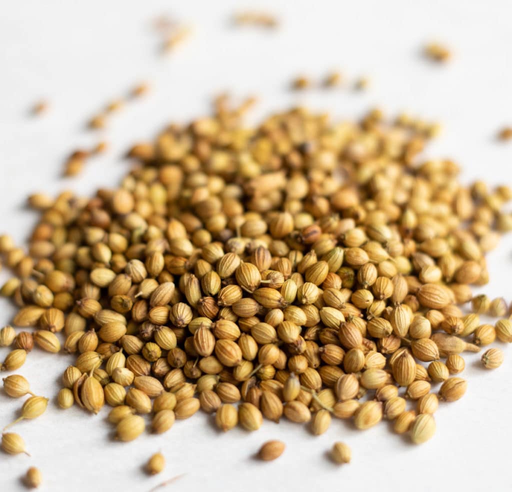 Coriander seeds