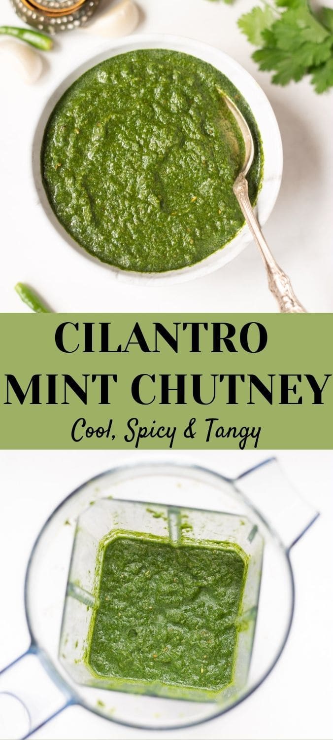 Mint Cilantro Chutney (Indian Green Chutney) Piping Pot Curry