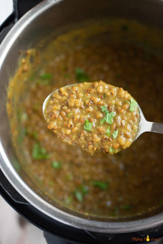 Moth bean lentils in a ladle over the instant pot