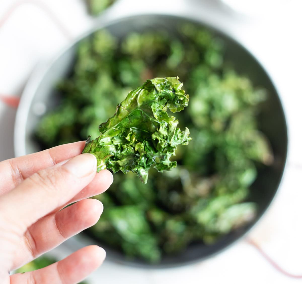 A crispy Kale Chip closeup in hand