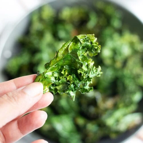 A crispy Kale Chip closeup in hand