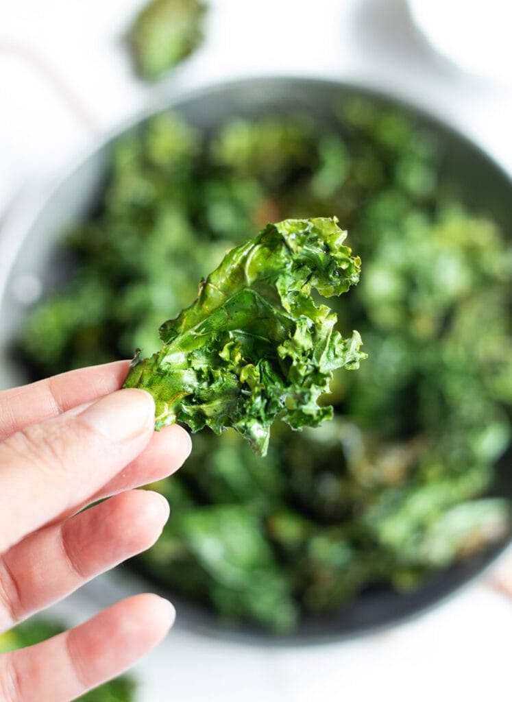 A crispy Kale Chip closeup in hand