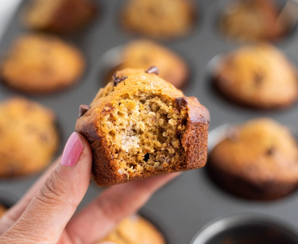 Closeup of a healthy muffin with banana and chocolate chips