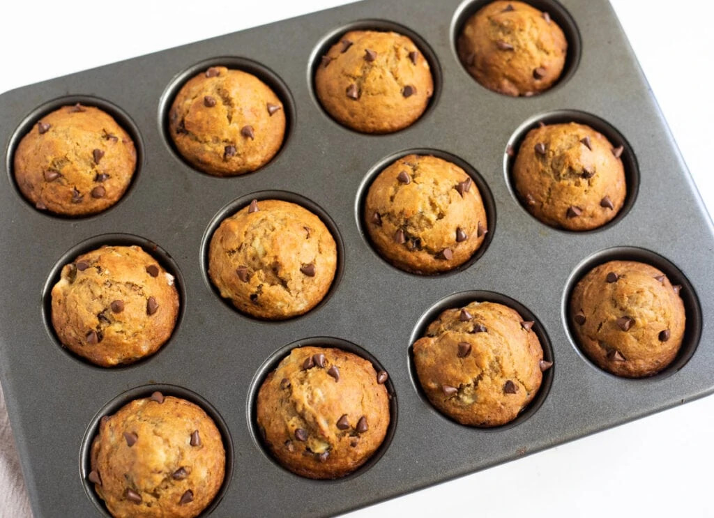 Muffins topped with chocolate chips freshly baked. 