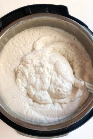 Idli dosa batter fermented in the instant pot