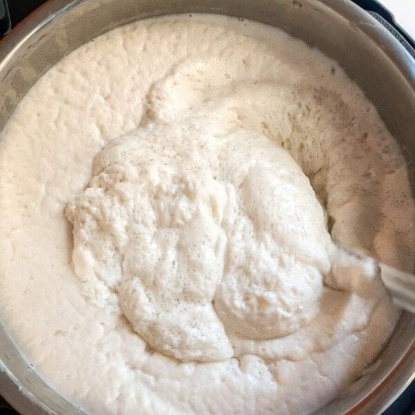 Idli dosa batter fermented in the instant pot