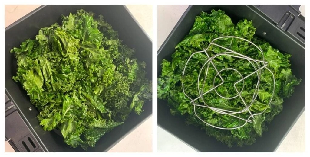 Seasoned Kale in air fryer
