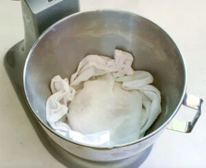 Cover dough with damp cloth