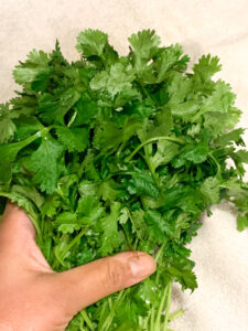 Removing water from cilantro bunch