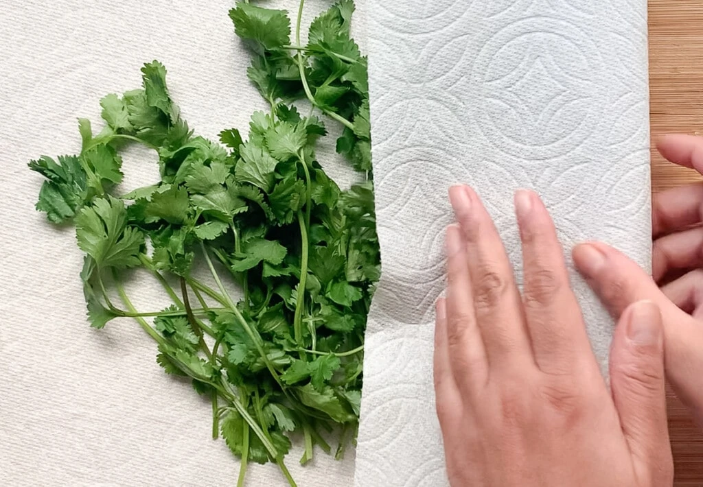 Storing cilantro wrapped in a paper towel