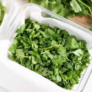 How to Store Cilantro   Buy  Cut    Use  - 26