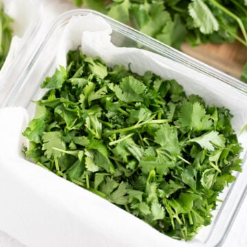 Chopped Cilantro leaves in a container lined with paper towel